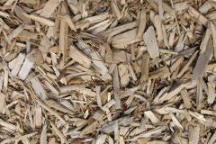 biomass boilers Fletching Common