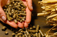 free Fletching Common biomass boiler quotes